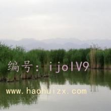 û