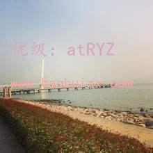 ̬